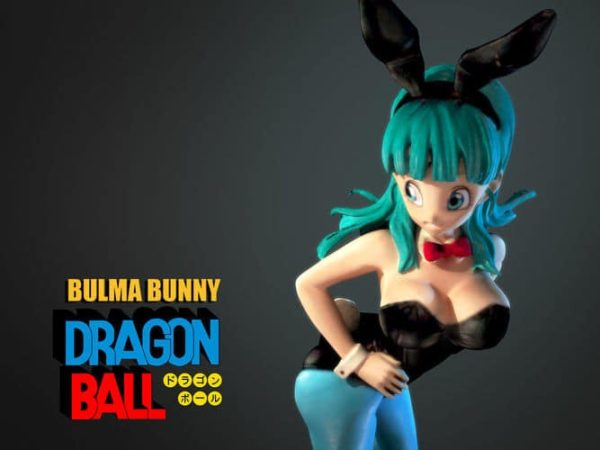 DBZ Bulma Bunny Anime 3D Models Print STL OBJ Instant Download
