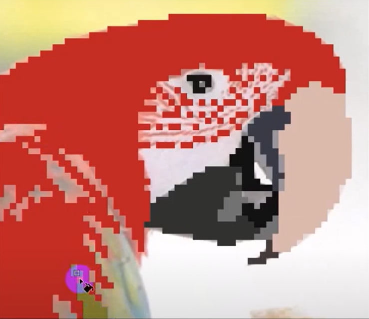 Draw pixel art parrot in illustrator